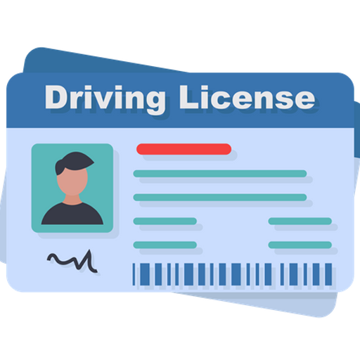 Driving Licence